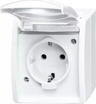 Busch-Jaeger Schuko-Steckdose 1-fach (20 EBW-54)