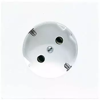 Busch-Jaeger Schukosteckdose, lichtgrau LS 520-45 LG