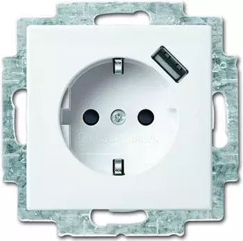 Busch-Jaeger Schuko/USB-Steckdose 20 (EUCBUSB-914)