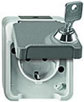 Merten SCHUKO-Steckdose lichtgrau MEG2418-8029 (MEG2418-8029)