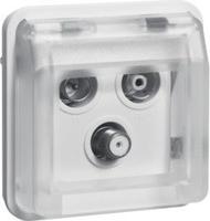 Berker Antennen-Steckdoseneinsatz 12033562 pws matt W.1 Antennensteckdose