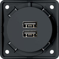 BERKER Integro USB-Ladesteckdosen - 2x USB, anthrazit matt