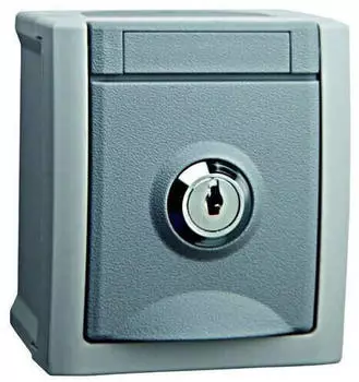 Busch-Jaeger AP-FR Schuko Steckdose Abschlie&szlig;bar IP54 Nr. 1 (40167)