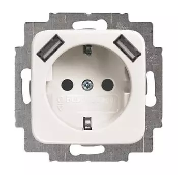 Busch-Jaeger 20 EUCB2USB-214