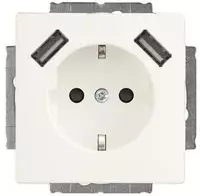 Busch-Jaeger 20EUCB2USB-884, Busch-Jaeger 20EUCB2USB-884 SCHUKO