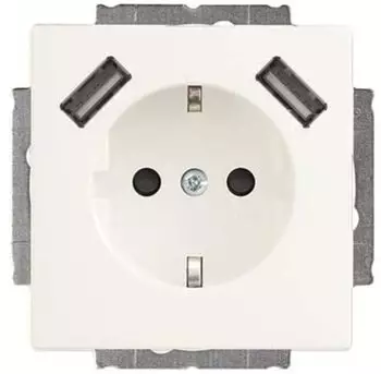 Busch-Jaeger 20 EUCB2USB-884