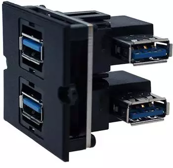 Bachmann Custom Modul Rahmen 2x USB 3.0 90° Abgang seitlich schwarz (917.059)
