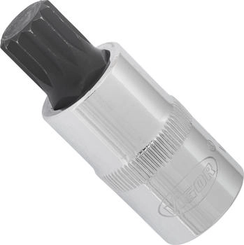 Vigor Equipment Innenvielzahn Schraubendreher-Einsatz (XZN) Vierkant hohl 12,5 mm (1/2 Zoll) Innen Vielzahn Profil XZN M14 (V2065)