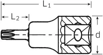 Stahlwille Schraubendrehereinsatz 3/8" TORX T20 49mm (02100020)