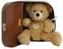 Steiff Fynn Teddybär im Koffer 25 cm