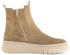 Gabor Chelsea Boots (73.731) lion (14)