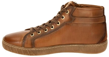 Pikolinos Lanzarote (W7B-8868C1) brandy