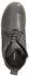 Andrea Conti Stiefeletten (0344589) dunkelgrau