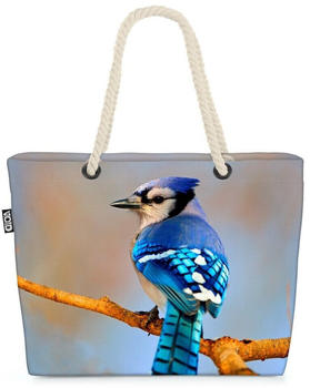 VOID Eichelhäher Vogel nature Eichelhäher Vogel nature blue Tiere Wandern Au