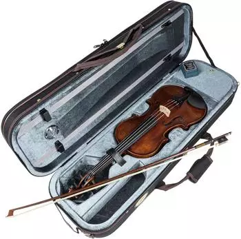 Stentor Verona Violine 4/4 Set (SR1864A)