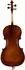 Classic Cantabile Brioso Cello-Set 3/4 mit Bogen, Trolley-Leichtkoffer und Kolophonium (00052592)