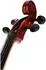 Classic Cantabile Brioso Cello-Set 3/4 mit Bogen, Trolley-Leichtkoffer und Kolophonium (00052592)