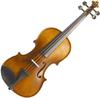 Stentor SR1542 Graduate 4/4 Acoustic Violin + Case and Bow