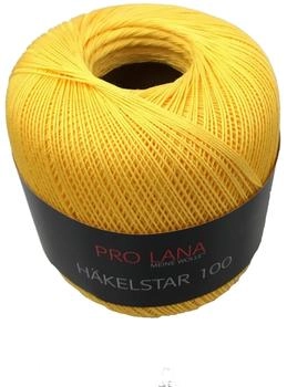 Pro Lana Häkelstar 100 22