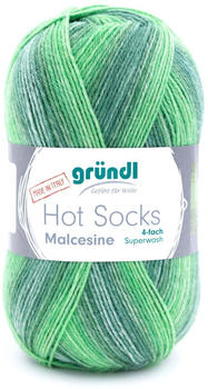 Gründl Hot Socks Malcesine 4-fach gras multicolor (4752-07)