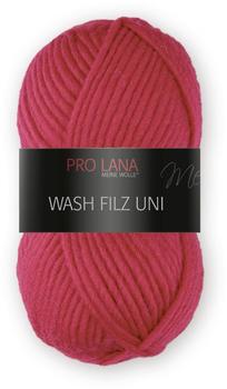 Pro Lana Wash Filz Uni 130