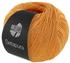 10 apricot (13140010)