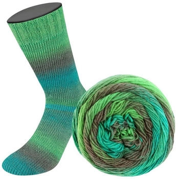 Lana Grossa Meilenweit Color Mix 8060