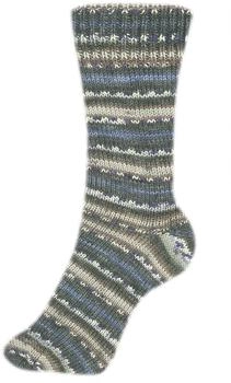 Schoeller & Stahl Fortissima Color 2484