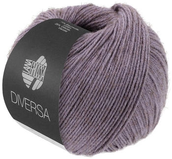 Lana Grossa Diversa 024
