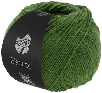 Lana Grossa Elastico 0192