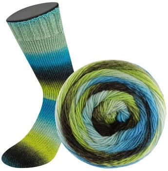 Lana Grossa Meilenweit Color Mix 8015