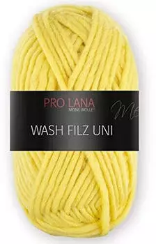 Pro Lana Wash Filz Uni 124