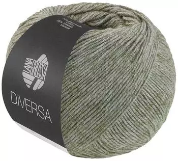 Lana Grossa Diversa 034