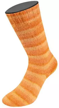 Lana Grossa Cosy Socks Soft Stripes 112