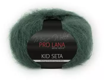 Pro Lana Kid Seta 78