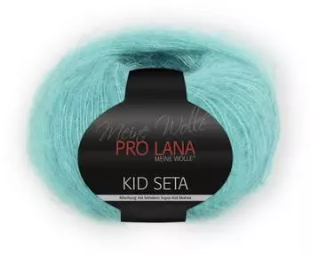 Pro Lana Kid Seta 67