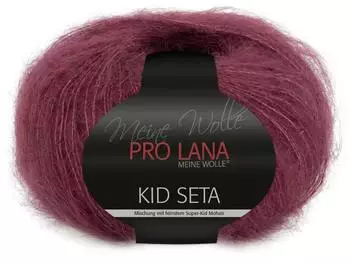 Pro Lana Kid Seta 38