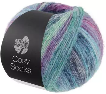 Lana Grossa Cosy Socks Dream 0255