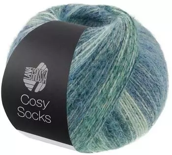 Lana Grossa Cosy Socks Dream 0254