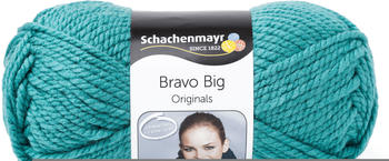Schachenmayr Bravo Big gletscher (00173)