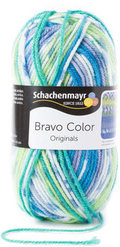 Schachenmayr Bravo Color aqua jacquard color
