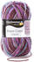 Schachenmayr Bravo Color