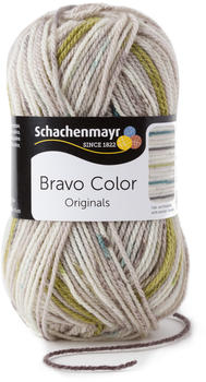Schachenmayr Bravo Color nebel color