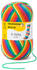 Schachenmayr Regia 6-fädig Color 150 g 06367 rainbow