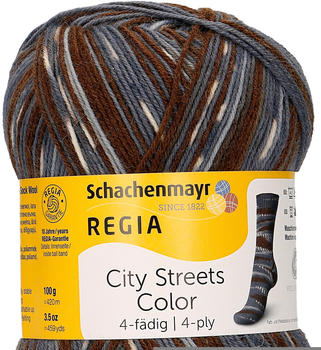 Regia 4-fädig Color 100 g hudson heights (02894)