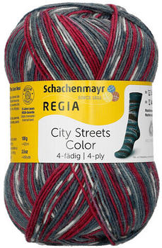 Regia 4-fädig Color 100 g riverdale (02896)