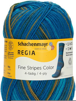 Regia 4-fädig Color 100 g blue stripes (03707)