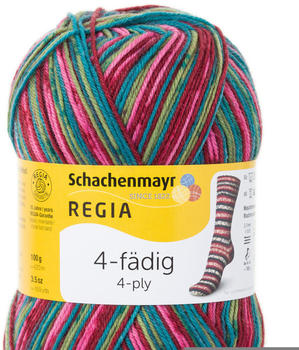 Regia 4-fädig Color 100 g schneeanzug (07707)