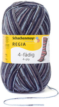 Regia 4-fädig Color 100 g schneestern (07709)