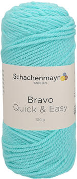 Schachenmayr Bravo Quick & Easy mintblau (08366)
